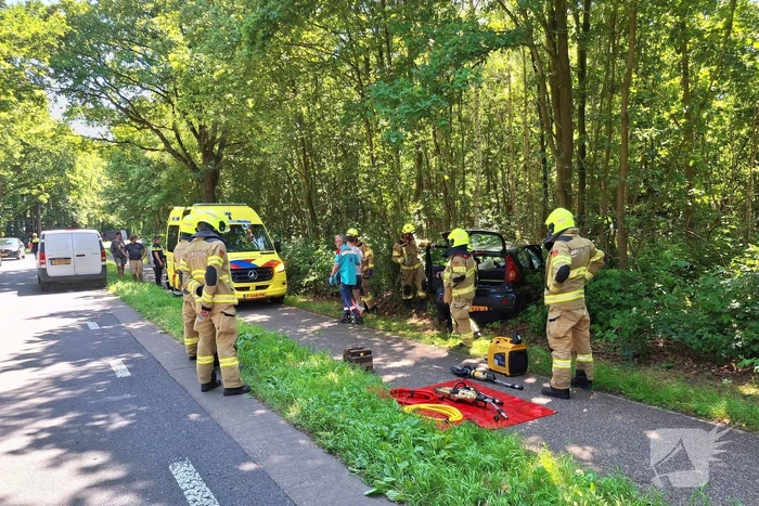 Auto belandt in bosschages