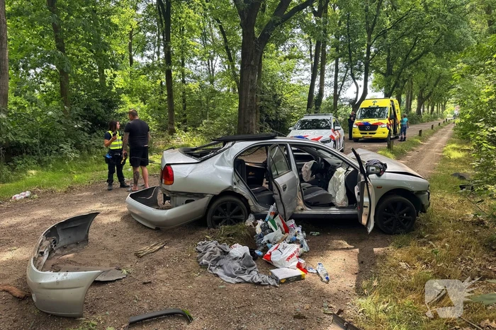 Beschonken bestuurder richt ravage aan