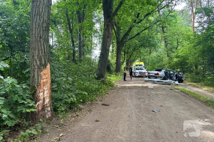 Beschonken bestuurder richt ravage aan