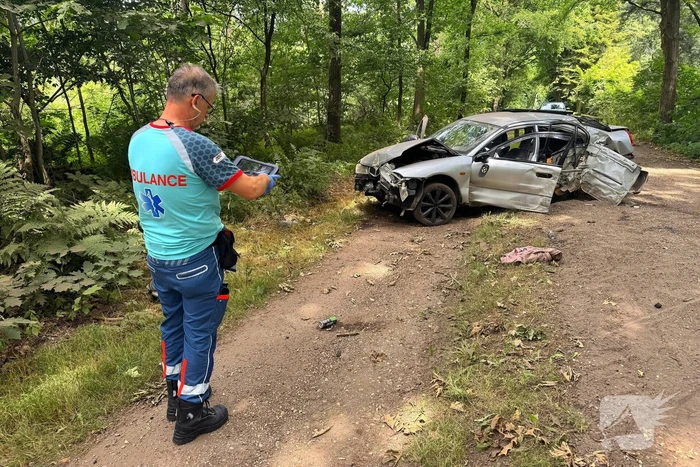 Beschonken bestuurder richt ravage aan