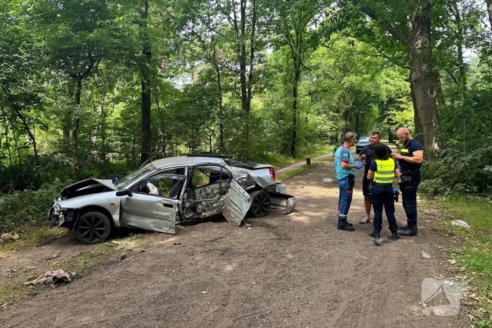 Beschonken bestuurder richt ravage aan