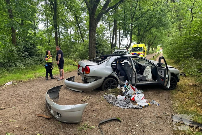 Beschonken bestuurder richt ravage aan