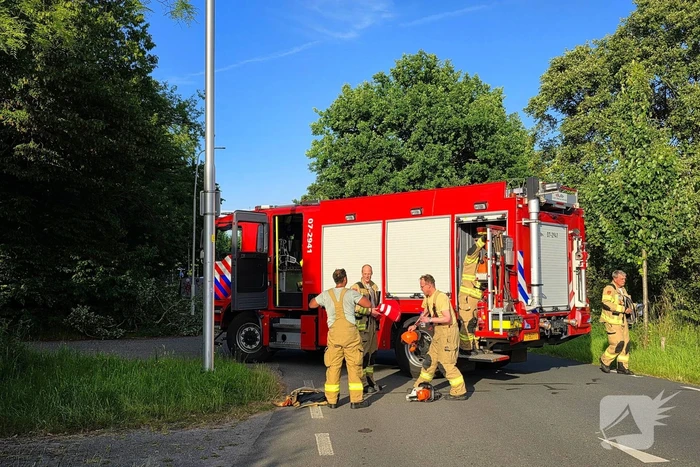 Omgevallen boom blokkeert weg en beschadigt lantaarnpaal