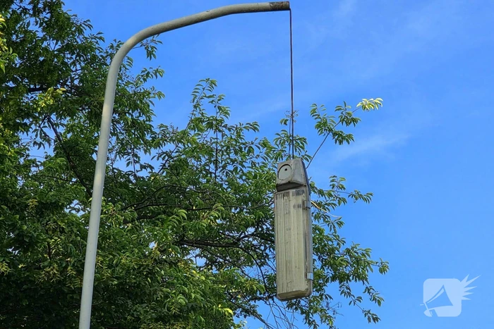 Omgevallen boom blokkeert weg en beschadigt lantaarnpaal