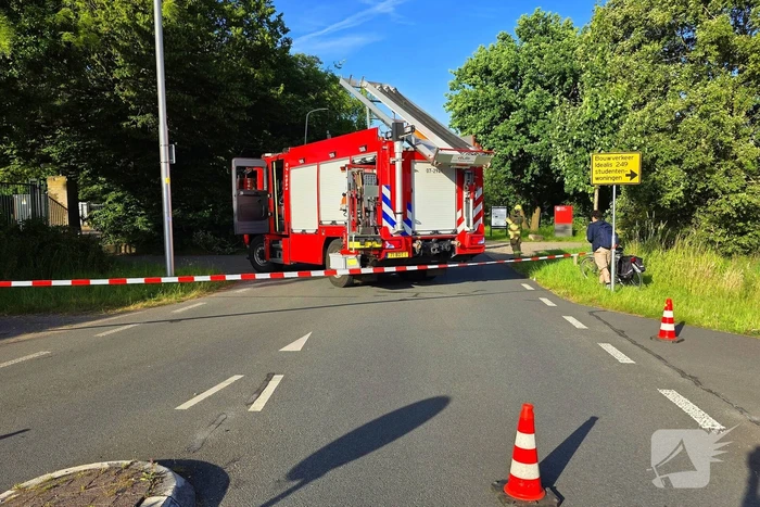 Omgevallen boom blokkeert weg en beschadigt lantaarnpaal
