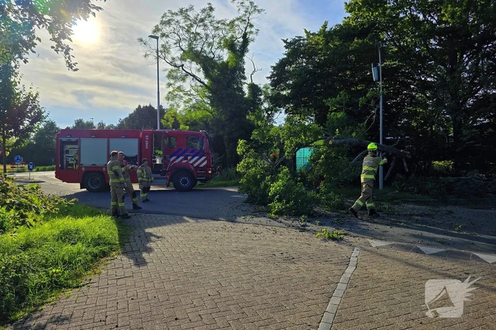 Omgevallen boom blokkeert weg en beschadigt lantaarnpaal