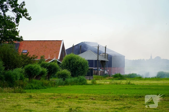 Schuur met lammeren vat vlam