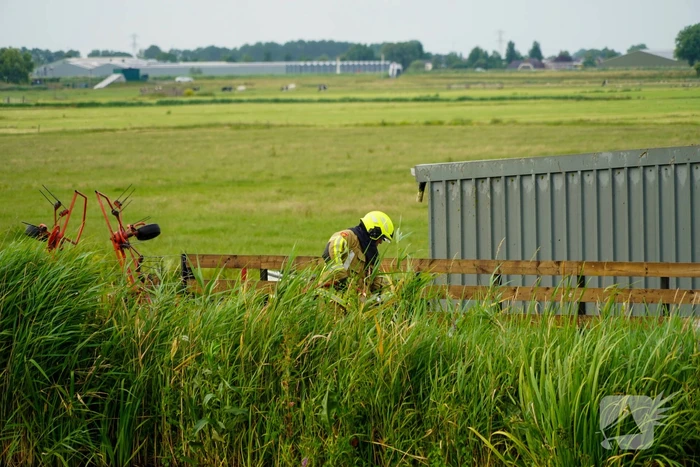 Schuur met lammeren vat vlam