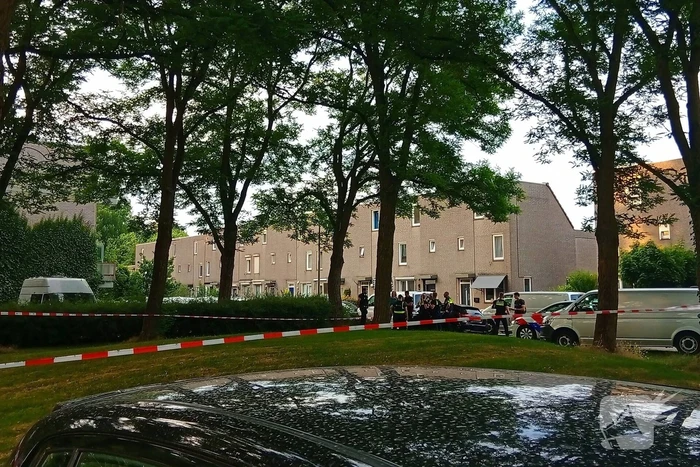schietincident baakhovenstraat arnhem