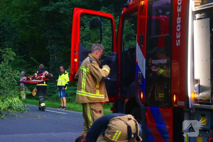 N373 afgesloten vanwege tak over de weg