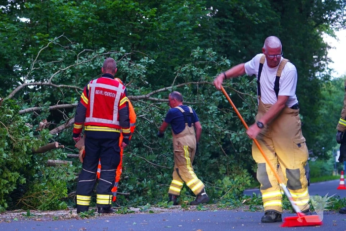 N373 afgesloten vanwege tak over de weg