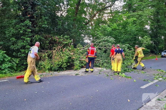 N373 afgesloten vanwege tak over de weg