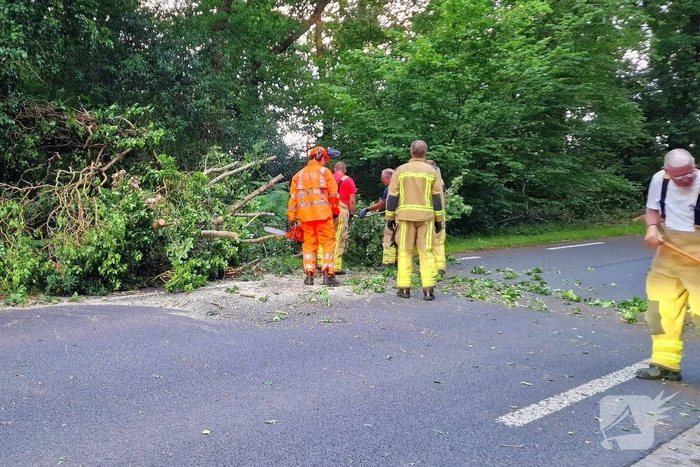 N373 afgesloten vanwege tak over de weg