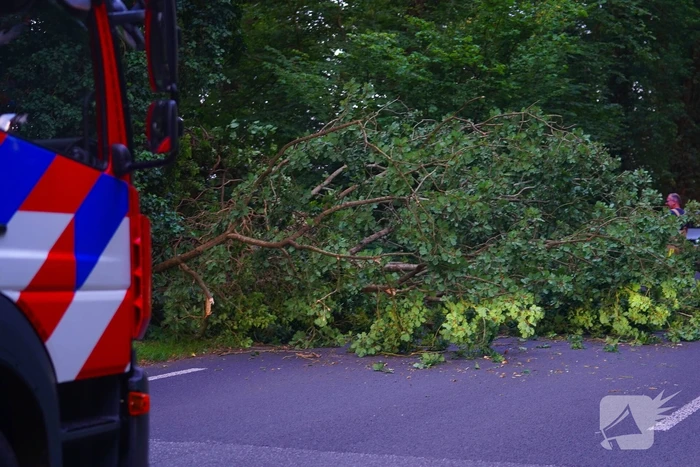 N373 afgesloten vanwege tak over de weg