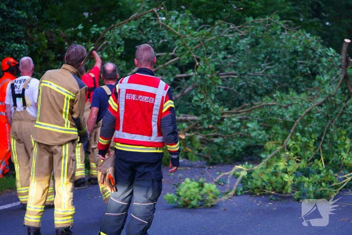 N373 afgesloten vanwege tak over de weg