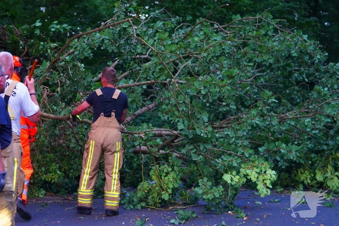 N373 afgesloten vanwege tak over de weg