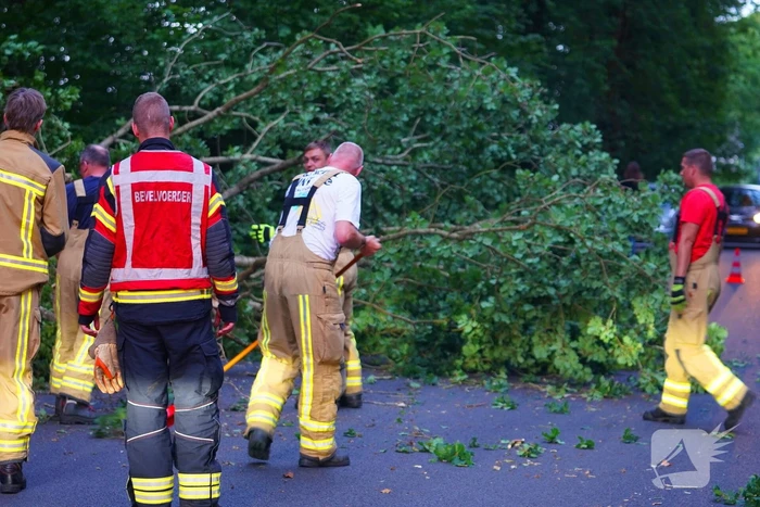 N373 afgesloten vanwege tak over de weg