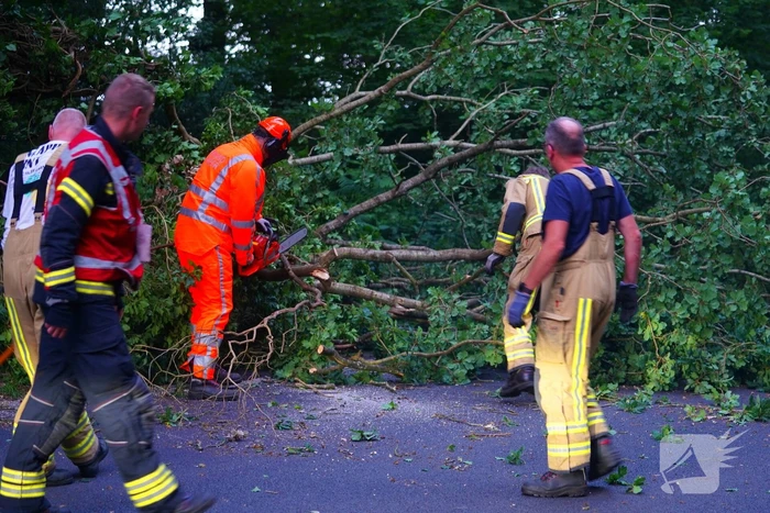N373 afgesloten vanwege tak over de weg