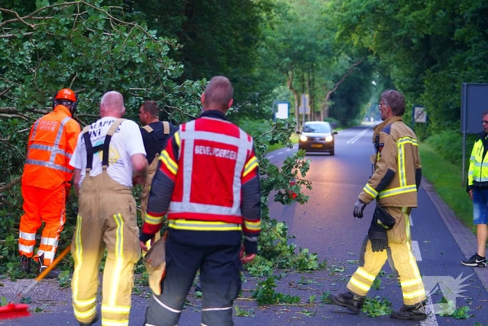 N373 afgesloten vanwege tak over de weg