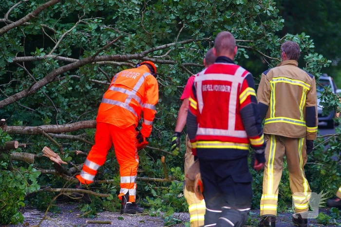 N373 afgesloten vanwege tak over de weg
