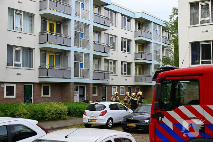 Flatwoning vol rook na brand