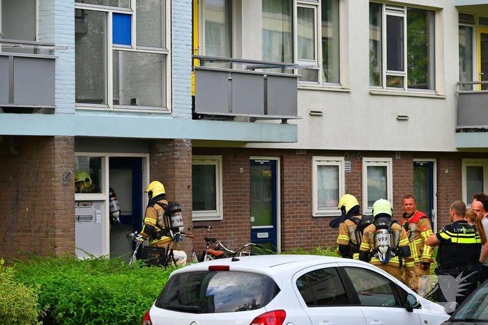Flatwoning vol rook na brand