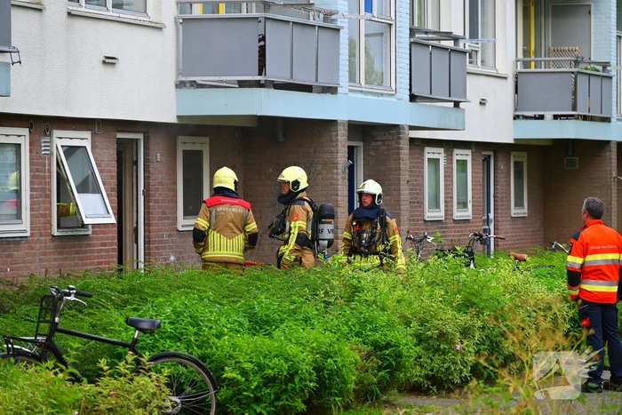 Flatwoning vol rook na brand