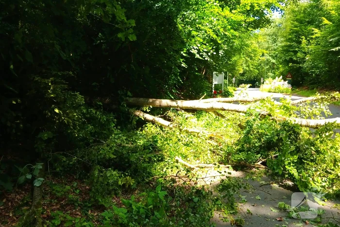 natuur beekhuizenseweg rozendaal