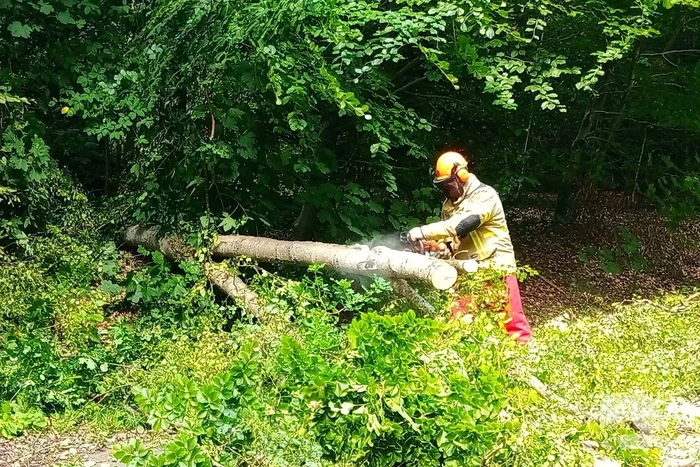 Boom blokkeert weg door stormschade