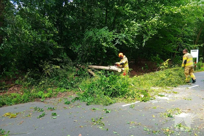 Boom blokkeert weg door stormschade