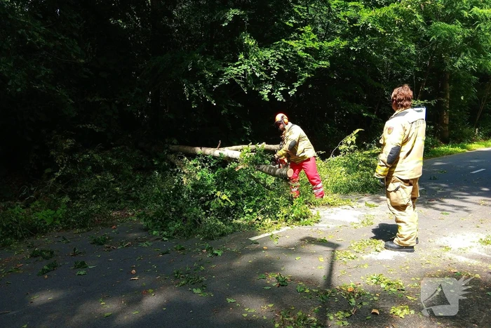 Boom blokkeert weg door stormschade