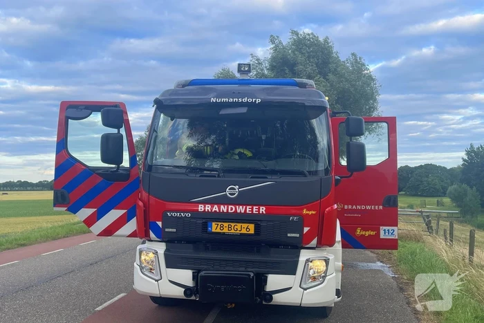 Snelle blussing voorkomt uitbreiding