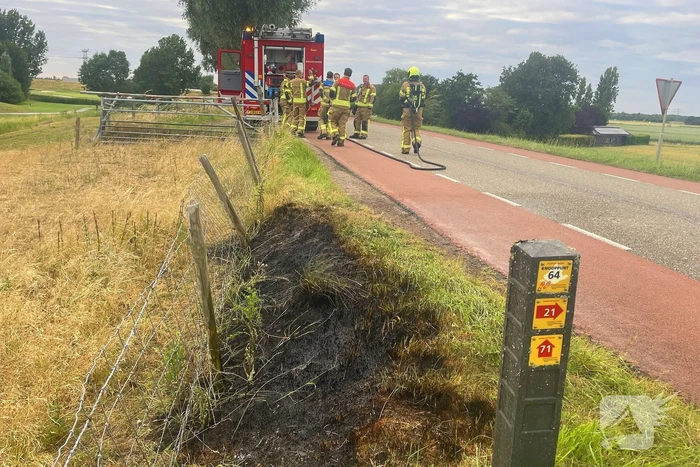 Snelle blussing voorkomt uitbreiding