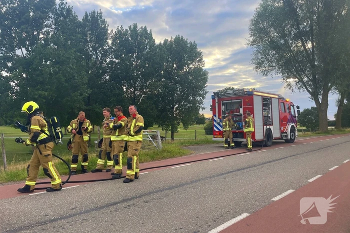 Snelle blussing voorkomt uitbreiding