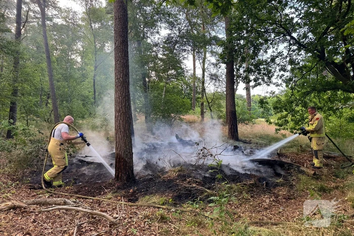 Bosbrand snel onder controle na brandweeractie