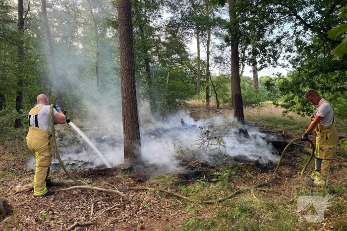Bosbrand snel onder controle na brandweeractie