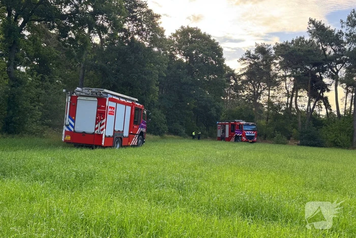 Bosbrand snel onder controle na brandweeractie