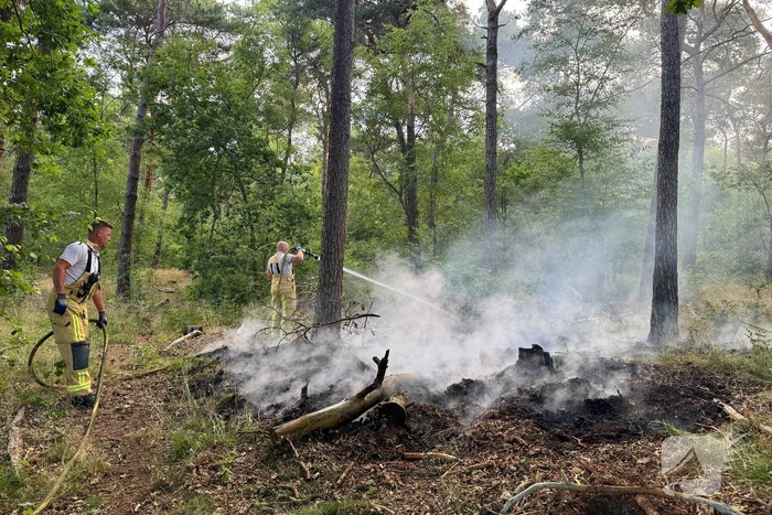 Bosbrand snel onder controle na brandweeractie
