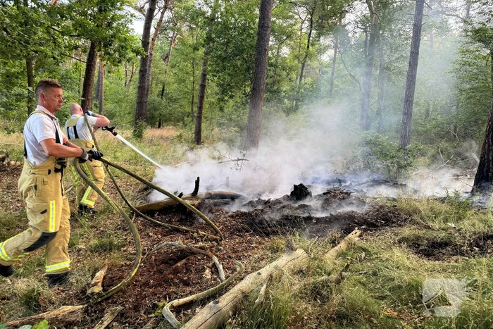Bosbrand snel onder controle na brandweeractie
