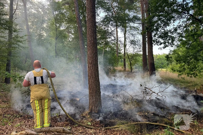 Bosbrand snel onder controle na brandweeractie