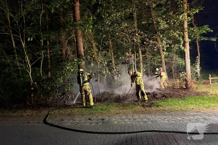 Bosbrand snel onder controle