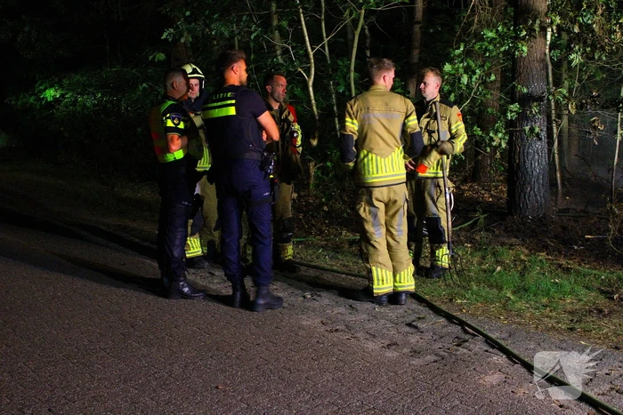 Bosbrand snel onder controle