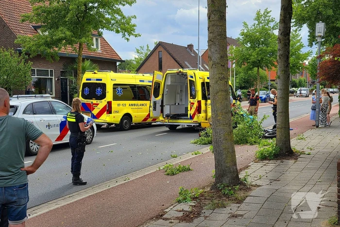 Fatbiker krijgt tak op hoofd en raakt zwaargewond