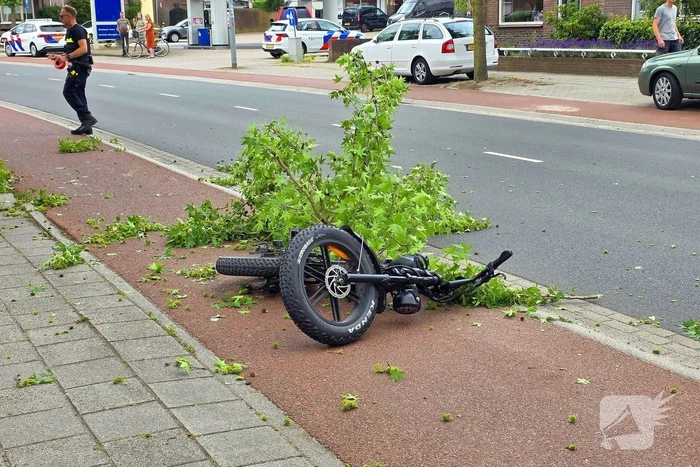 Fatbiker krijgt tak op hoofd en raakt zwaargewond