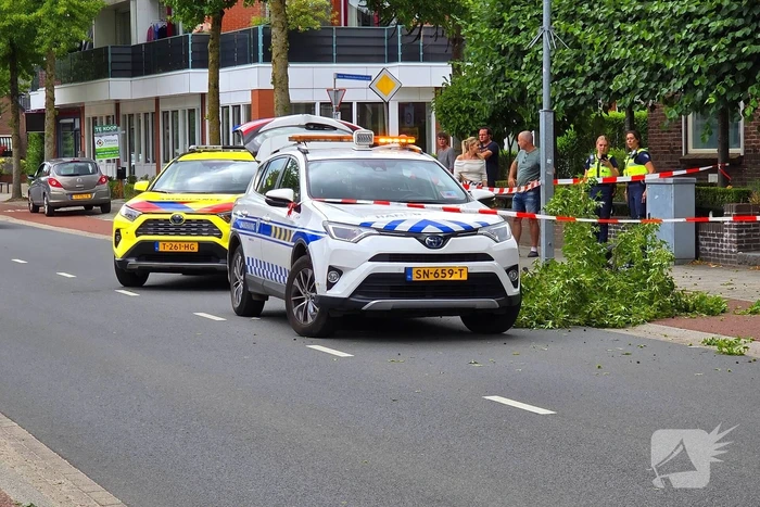 Fatbiker krijgt tak op hoofd en raakt zwaargewond