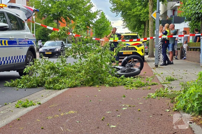 Fatbiker krijgt tak op hoofd en raakt zwaargewond