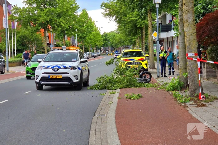 Fatbiker krijgt tak op hoofd en raakt zwaargewond