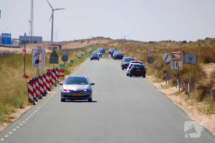 Mens en dier zoeken verkoeling aan het strand
