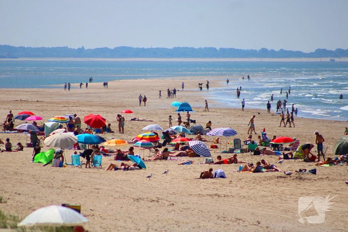 Mens en dier zoeken verkoeling aan het strand