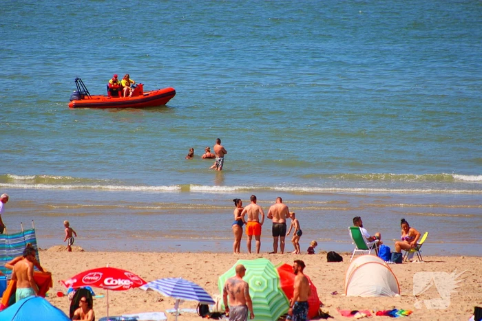 Mens en dier zoeken verkoeling aan het strand